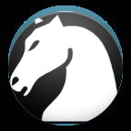 Swiss Chess Tournament