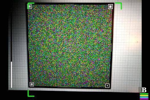 CameraFileCopy screenshot