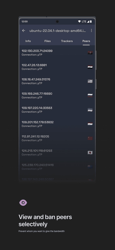 qBittorrent Manager screenshot