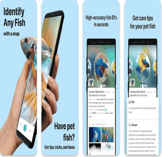 Picture Fish screenshot