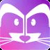 Raccoon