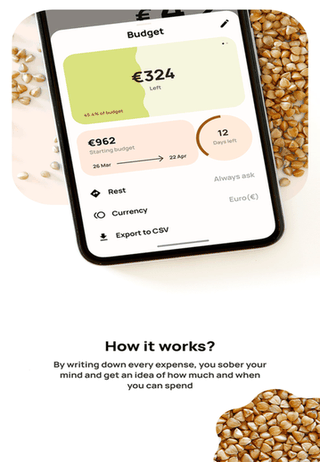 Buckwheat: Budget manager screenshot