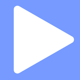 FlexStream Player