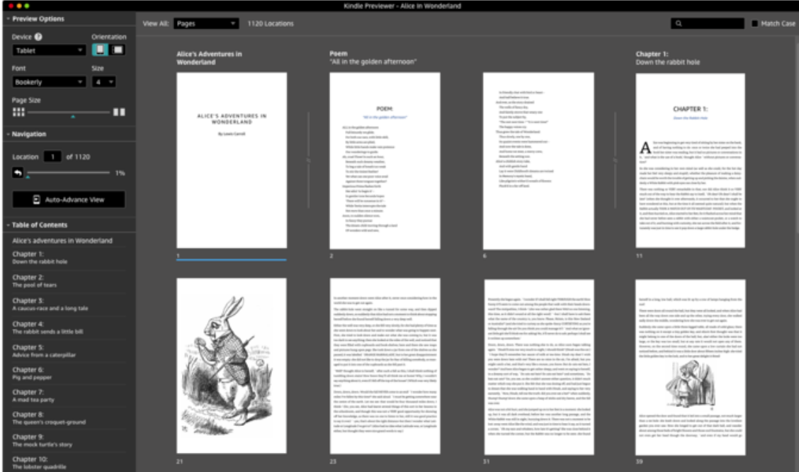 Kindle Previewer screenshot
