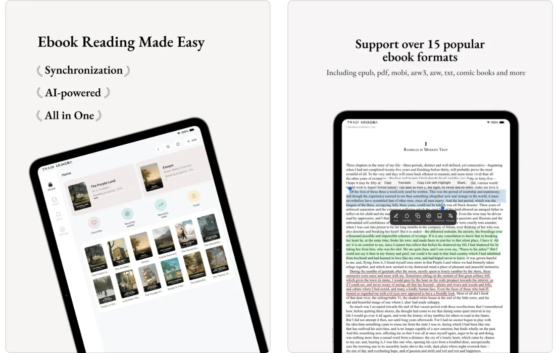 PageSync Reader screenshot