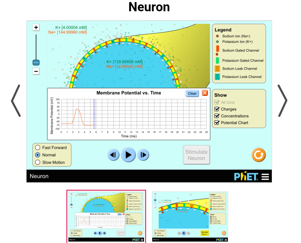 Neuron screenshot