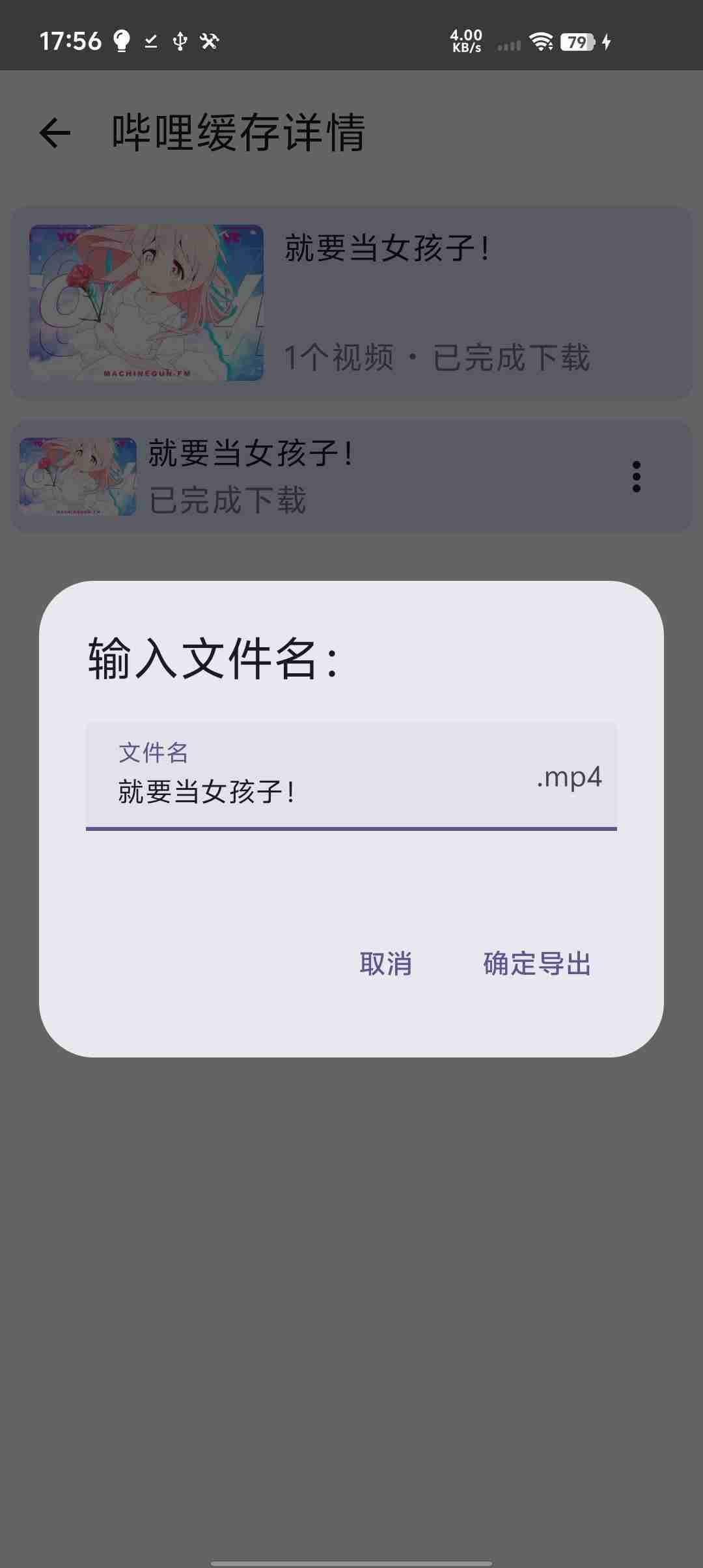 BiliDownOut screenshot