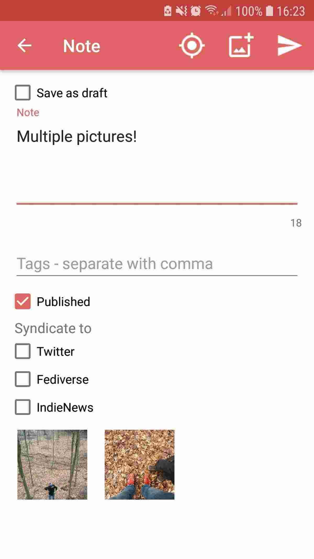 IndiePass screenshot