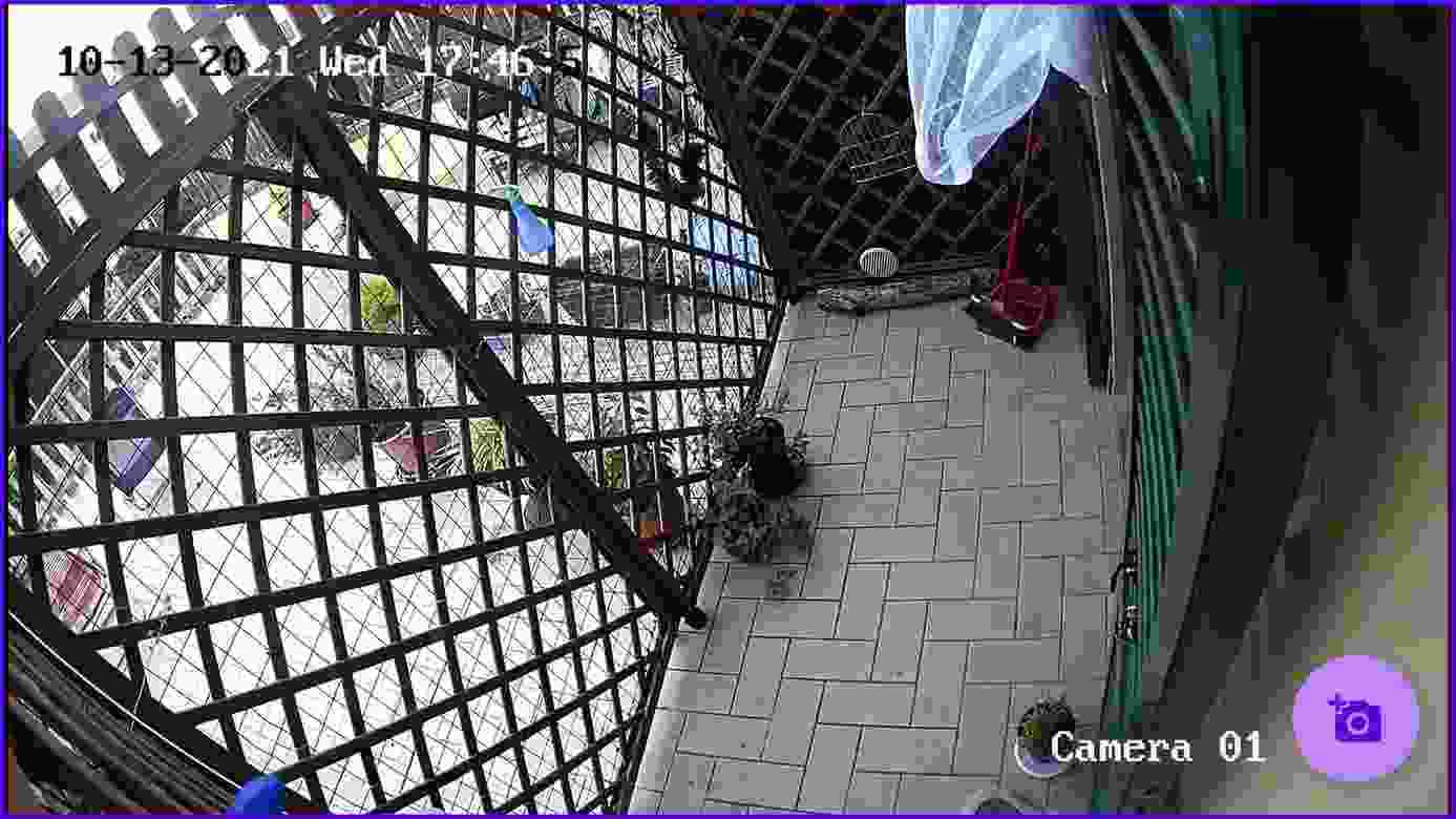 Ojo RTSP IP Camera viewer screenshot