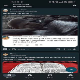 Raccoon for Lemmy screenshot