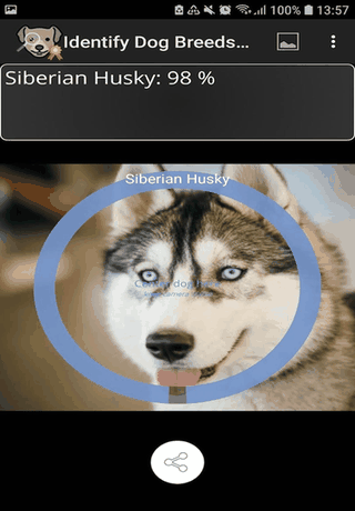 Identify Dog Breeds Pro screenshot