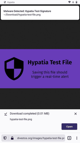 Hypatia screenshot