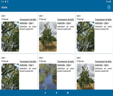 Hamburger  screenshot