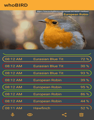 whoBIRD screenshot