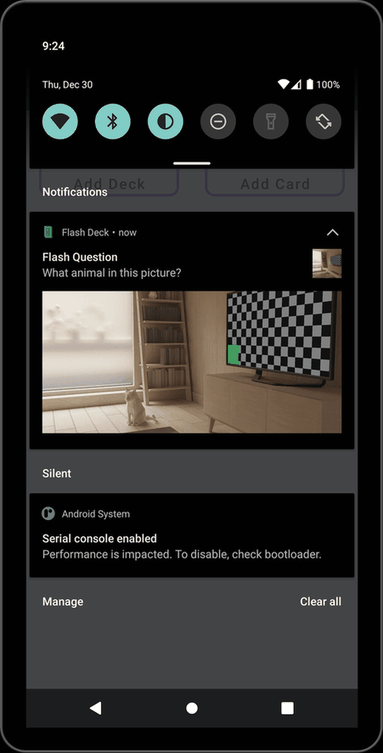Flash Deck screenshot