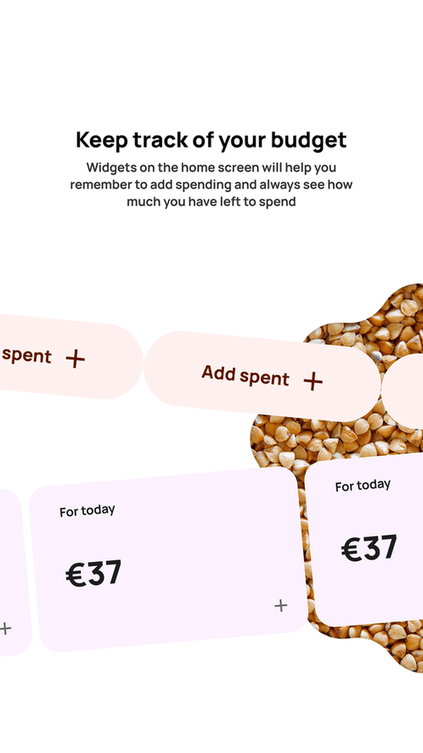 Buckwheat: Budget manager screenshot