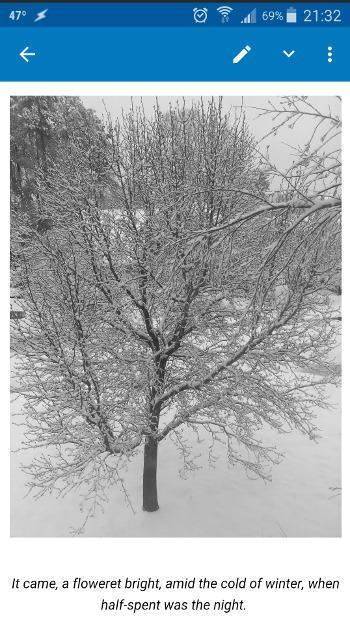 neutriNote CE screenshot