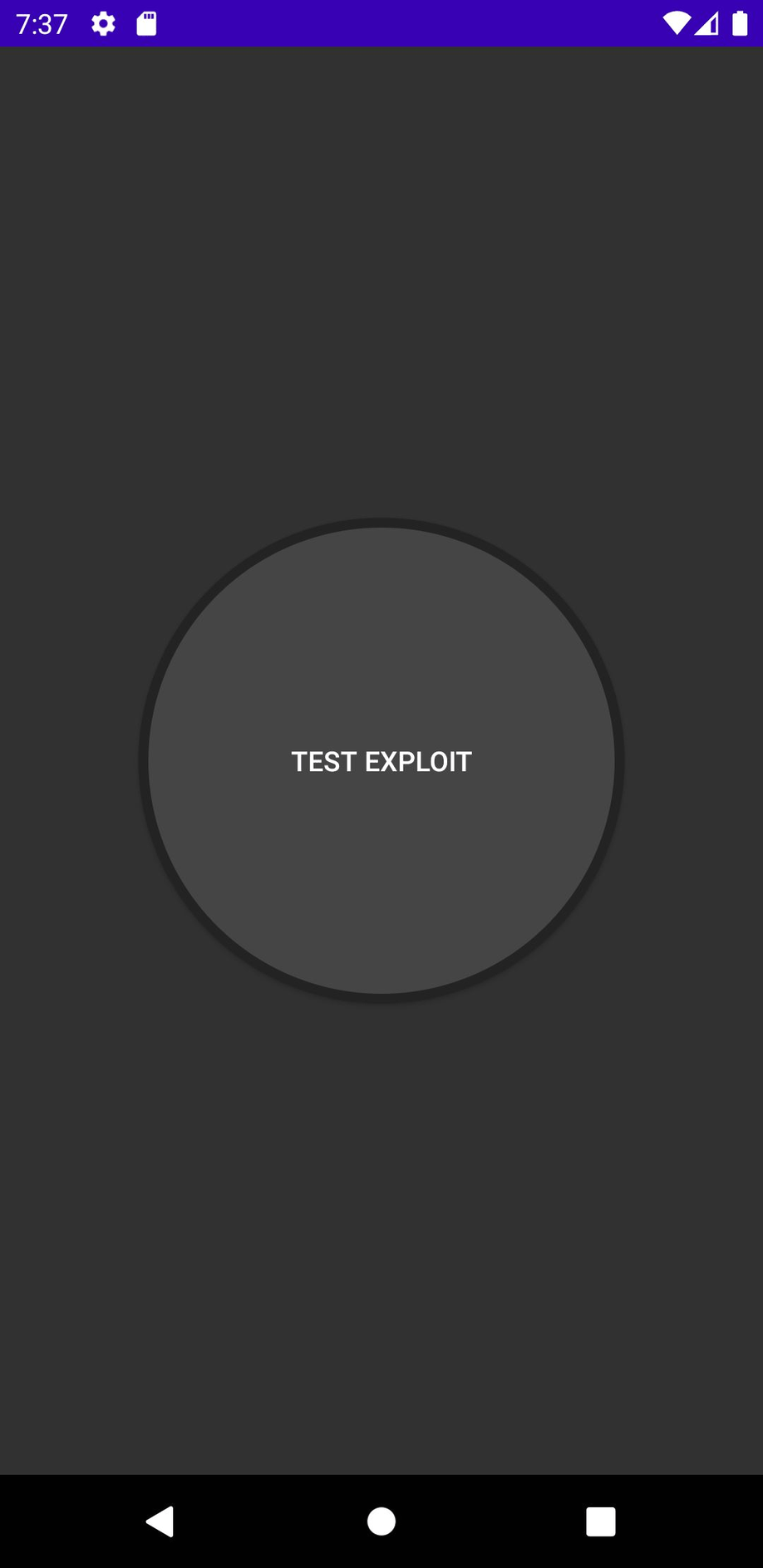 StartFlagExploit screenshot