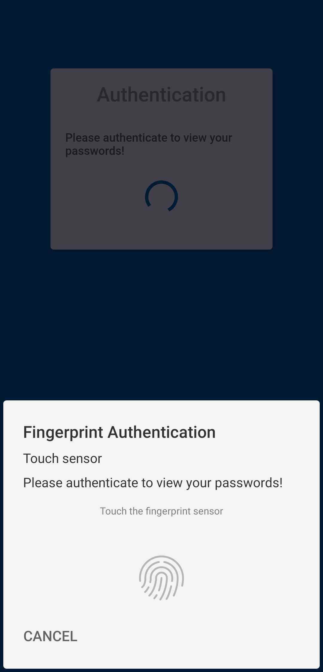 NC Passwords screenshot