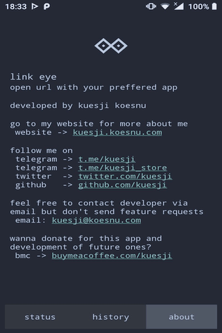link eye screenshot
