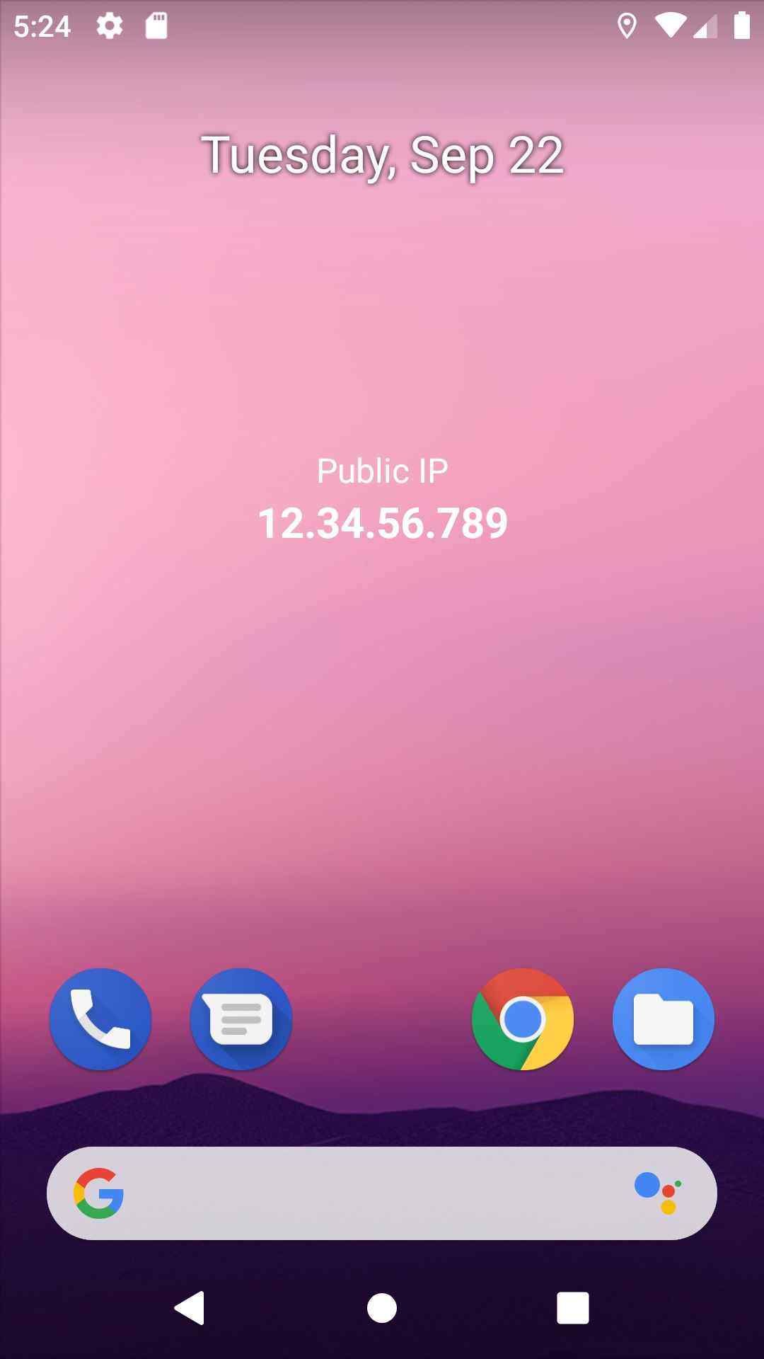 Public IP screenshot