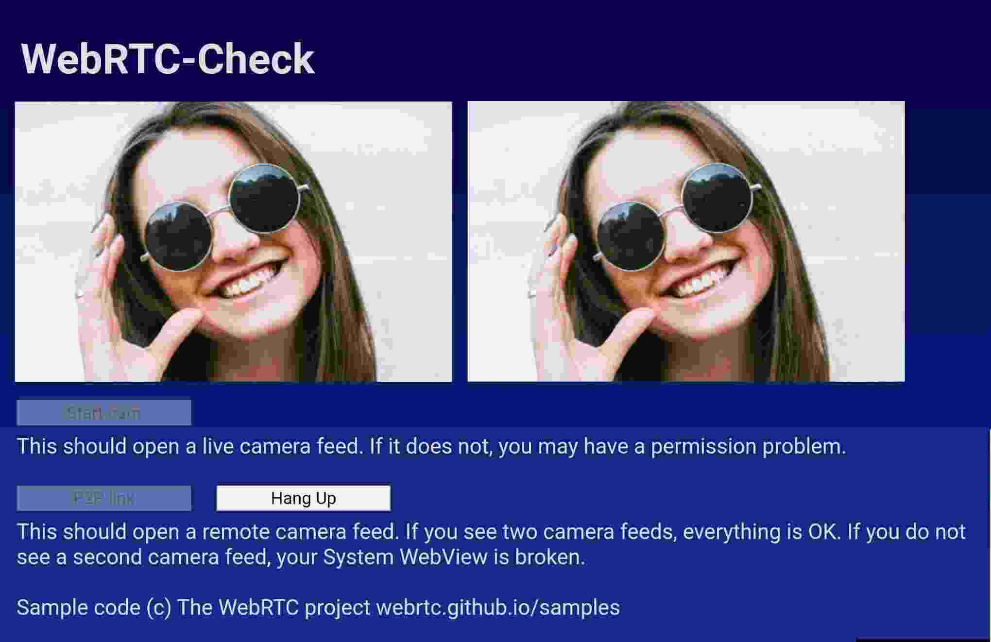 WebRTCCheck screenshot